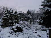 snow garden